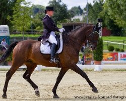 dressage horse Let's Dance 76 (Oldenburg, 2004, from Lannox)