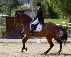 dressage horse Celine 269 (Württemberger, 2006, from Chalan)