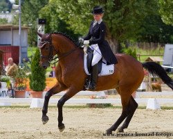 dressage horse Fogey Franclin (Westphalian, 2004, from Florestan I)