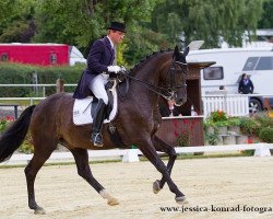 dressage horse Deniwe (Hanoverian, 2004, from De Niro)