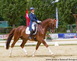 dressage horse De Janeiro (Hanoverian, 1998, from De Niro)