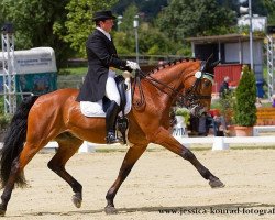 dressage horse Ribadeo W (Württemberger, 2000, from Ricardo)