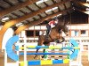 jumper Pina Colata (anglo european sporthorse, 2004, from Pokemon Ddh)