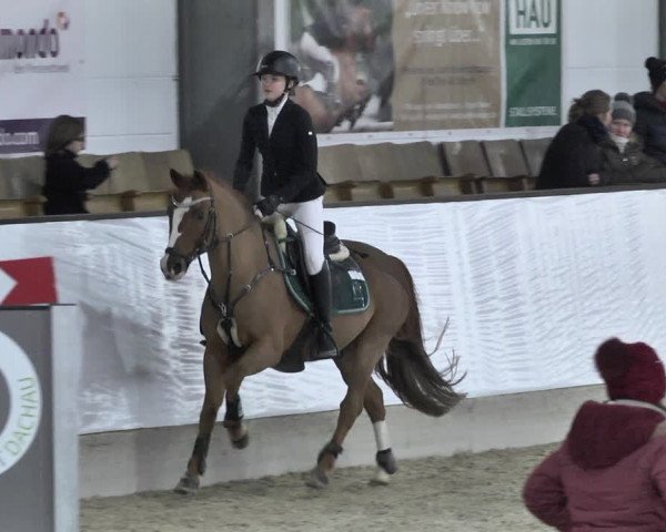 Reitturnier Karlsfeld/Obb. 2020
