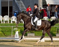 dressage horse Simply Me (Württemberger, 2004, from Sir Oldenburg)