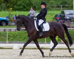 dressage horse Hip Hop 3 (Trakehner, 2001, from Latimer)