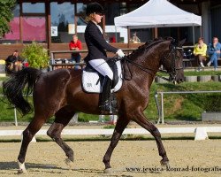 dressage horse Di Nero 3 (Hanoverian, 1999, from De Niro)