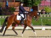 dressage horse Chocolate Cream B (Oldenburg, 2005, from Chico's Boy)