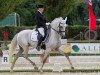 dressage horse Boneco (Lusitano, 2006, from Qualificado)