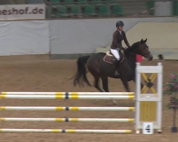 Reitturnier Kreuth/Opf. 2020