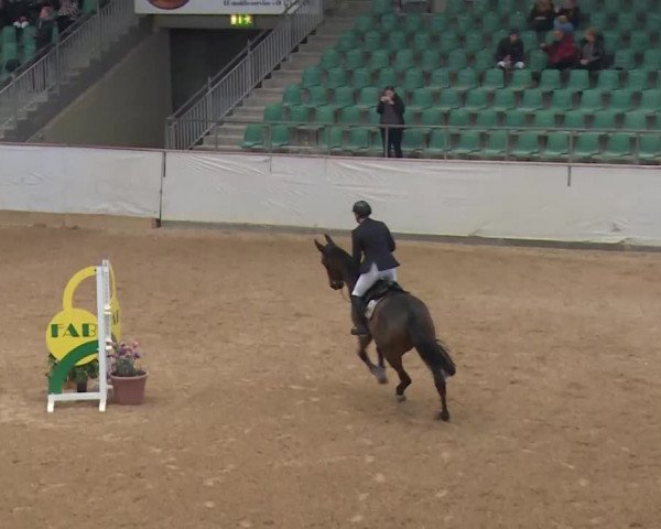 Reitturnier Kreuth/Opf. 2020