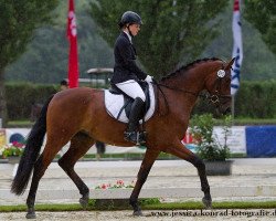 dressage horse Fine Fellow 4 (Oldenburg, 2011, from Fürstenball)