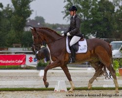 dressage horse Rosario 50 (German Sport Horse, 2010, from Rosenstein)