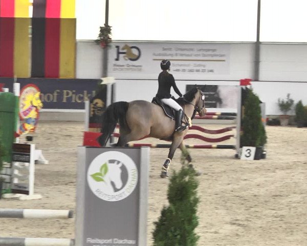 Reitturnier Karlsfeld/Obb. 2020