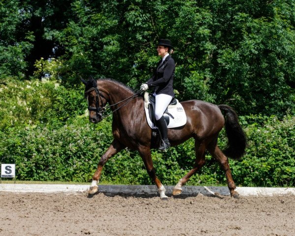 broodmare Alouette 47 (Rhinelander, 2003, from Abanos)