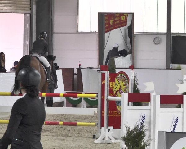 Reitturnier Karlsfeld/Obb. 2020
