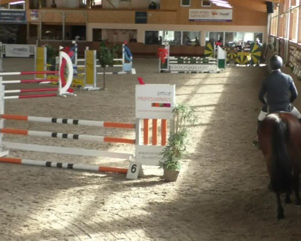 Reitturnier Dettingen 2020