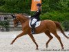 dressage horse Finale Grande (Hanoverian, 2004, from Fielmann)