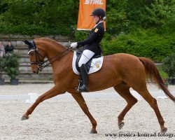 dressage horse Finale Grande (Hanoverian, 2004, from Fielmann)