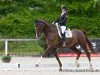 dressage horse Duisburg RH (Westphalian, 2006, from Donnerball)