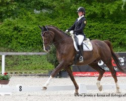 dressage horse Duisburg RH (Westphalian, 2006, from Donnerball)