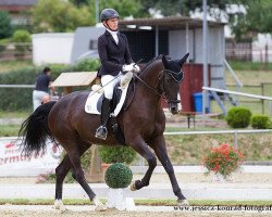 dressage horse Honeymoon 103 (Württemberger, 2009, from Hoftanz)