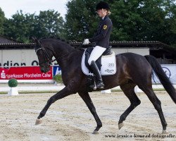 dressage horse Soraya 268 (Württemberger, 2010, from Sir Donnerhall I)