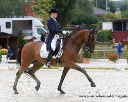 dressage horse Whipsaw (Zweibrücken, 2005, from Weltrubin)