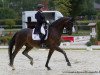 dressage horse Rossini (Hessian Warmblood, 2003, from Rubioso N)