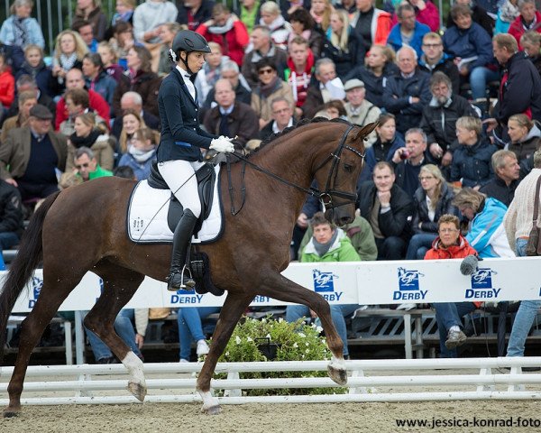 dressage horse Venecia 21 (Rhinelander, 2011, from Vitalis)