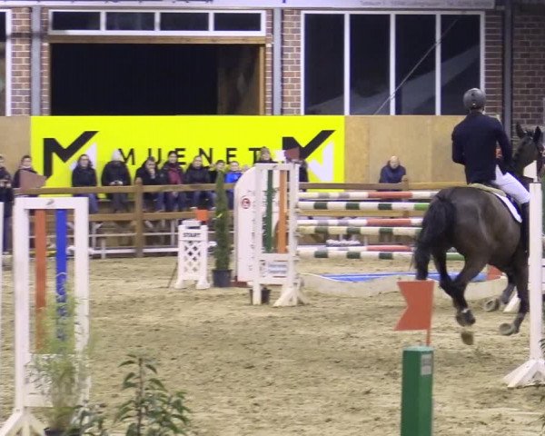 Rosendorf Classics 2020 Seppenrade