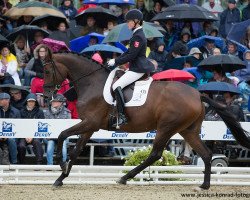 broodmare Feeling OLD (Oldenburg, 2011, from Fürstenball)