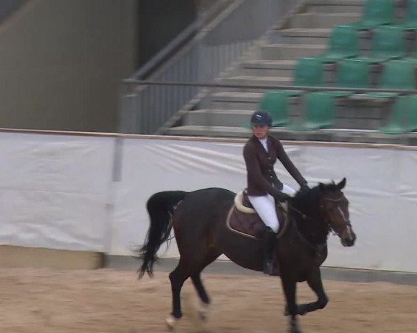 Reitturnier Kreuth/Opf. 2020