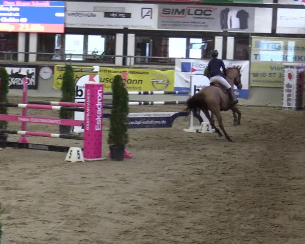 Reitturnier Vlotho-Exter 2020