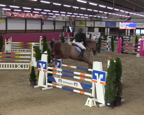 Reitturnier Vlotho-Exter 2020