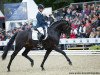 dressage horse Der Schufro (Hanoverian, 2012, from Der Designer)