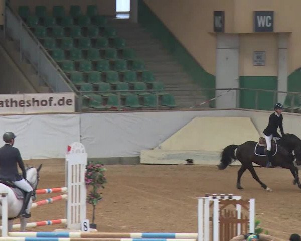 Reitturnier Kreuth/Opf. 2020