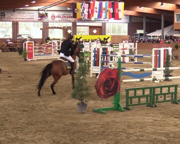 Rosendorf Classics 2020 Seppenrade