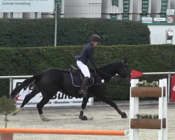 Reitturnier Durmersheim-Hardt 2021