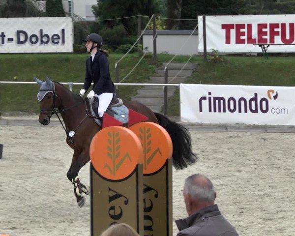 Reitturnier Durmersheim-Hardt 2021