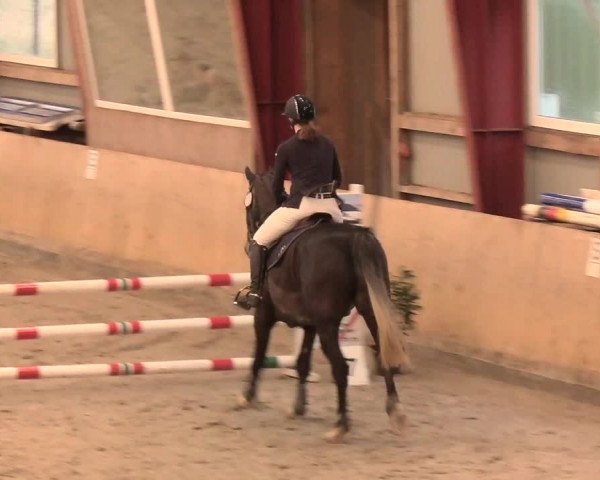 Reitturnier Süderlügum 2020