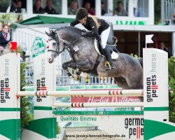 Springpferd Mr.bubble (Deutsches Reitpony, 2009, von Machno Carwyn)