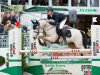 jumper Don Juan de Marco (German Riding Pony, 2009, from Donnerhall)