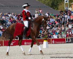 stallion Demetrius (Hanoverian, 2008, from Don Schufro)