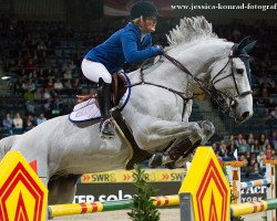 stallion Oreal des Etains Z (Zangersheide riding horse, 2005, from Orlando van de Heffinck)