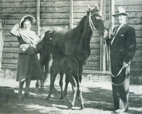 broodmare Kakatoe S (NL) (Traber, 1943, from The Saint (US))