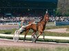 horse Fernhill Vriend (Traber, 1979, from Heres (DE))