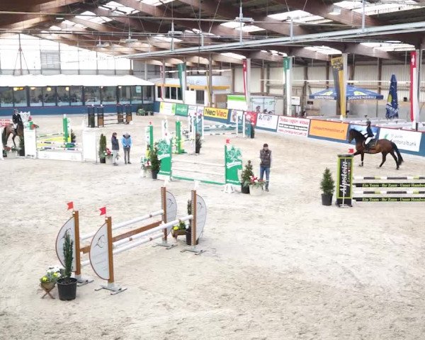 Reitturnier Oberriet 2020