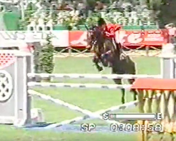 broodmare Glenda (KWPN (Royal Dutch Sporthorse), 1988, from Joost)