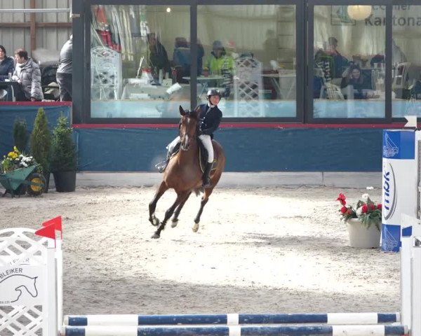 Reitturnier Oberriet 2020